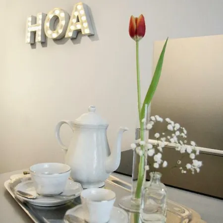 Hoa 招待所 *
